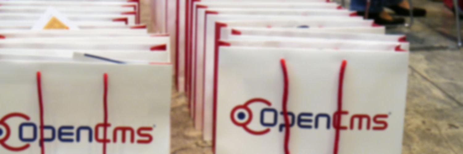 Several OpenCms bags standing in a row