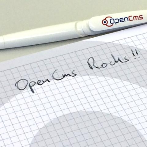OpenCms 12